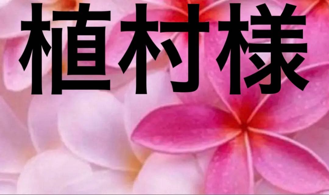 植村さま専用です