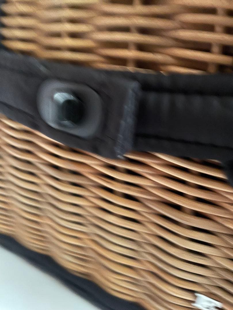 新品 未使用 ebagos 2021AW かごバッグ ブラック