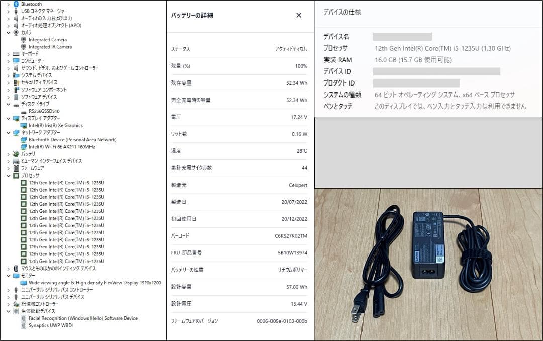 訳有・ThinkPad X1 Carbon Gen10(i5/16G/256G