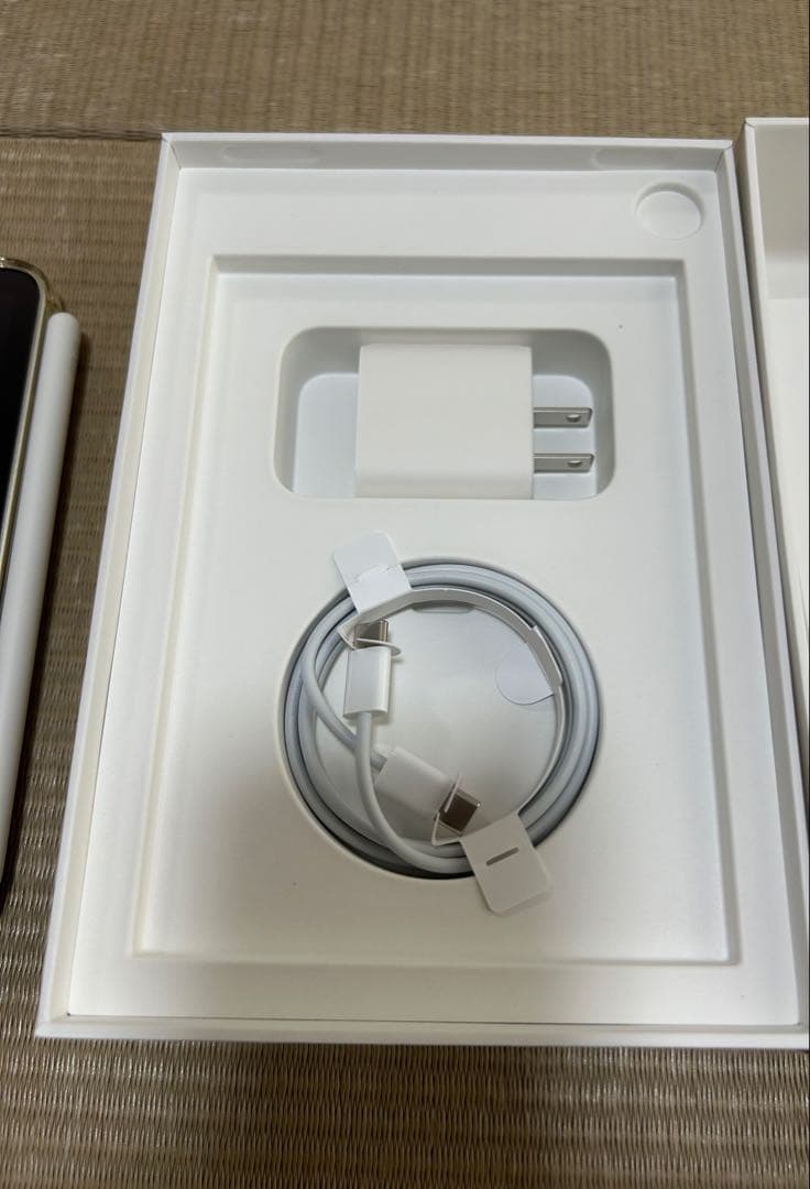 【値下げ】iPad mini6セルラー 64GB + Apple Pencil