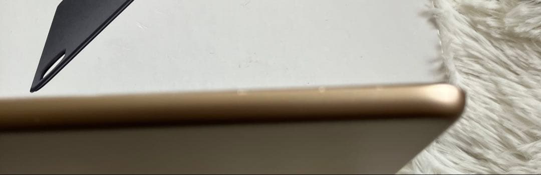 【早い者勝ち】iPad Air2 128GB 【すぐ発送】【付属品】