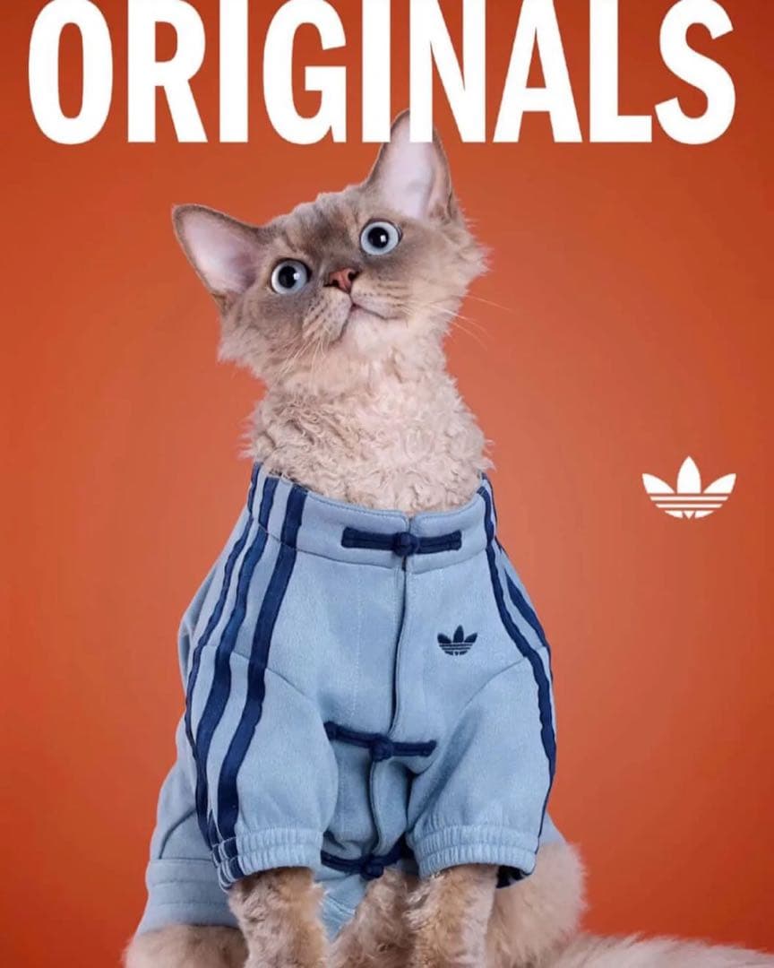 犬服・アクセサリー adidas originals Chinese New Year 2026