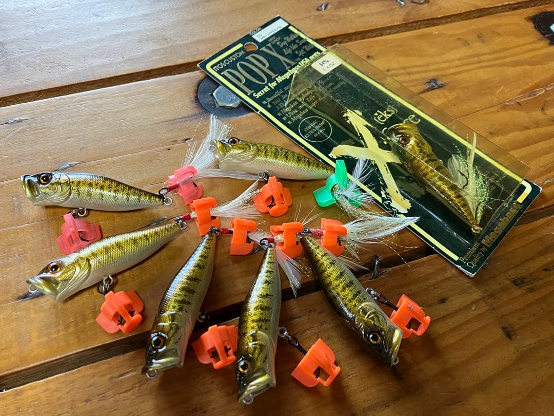 SGスモールマウスバスPOP-Xセット