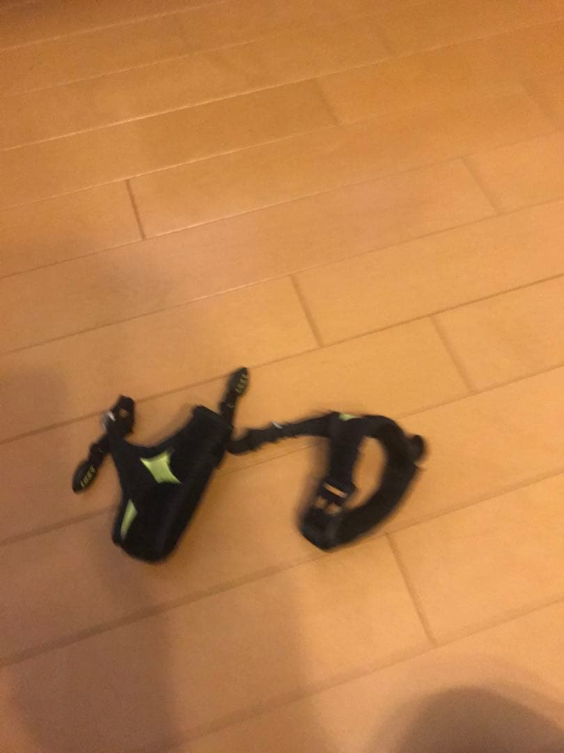 LEKI/レキ　スキー用ストック トリガーストラップ付き