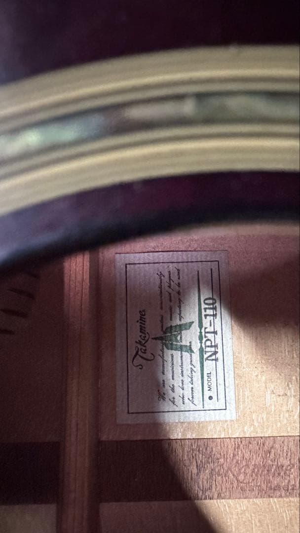 takamineNPR-110 バーガンディ アコースティックギター