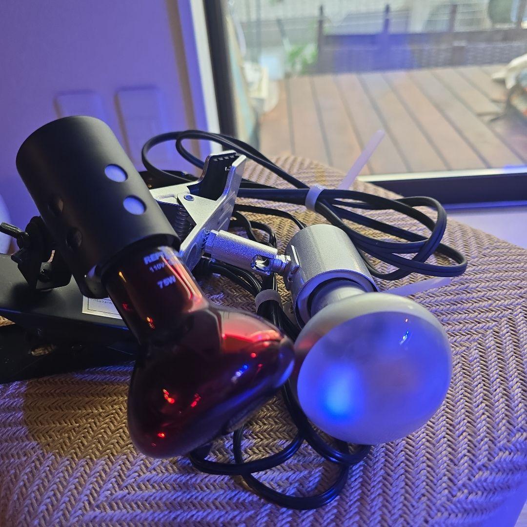 抹茶ラテエキゾテラ3030グラステラリウムメッシュフタ保温球付きほぼ