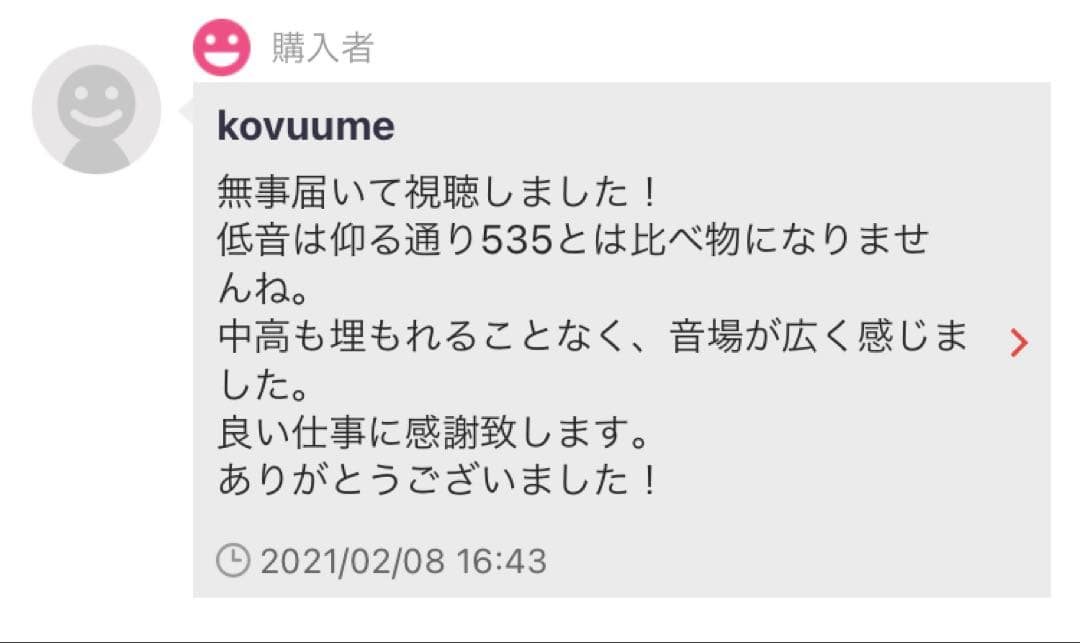 グラファイトシルバー DIY SE846(第2世代) 純正12BA使用 保証付き