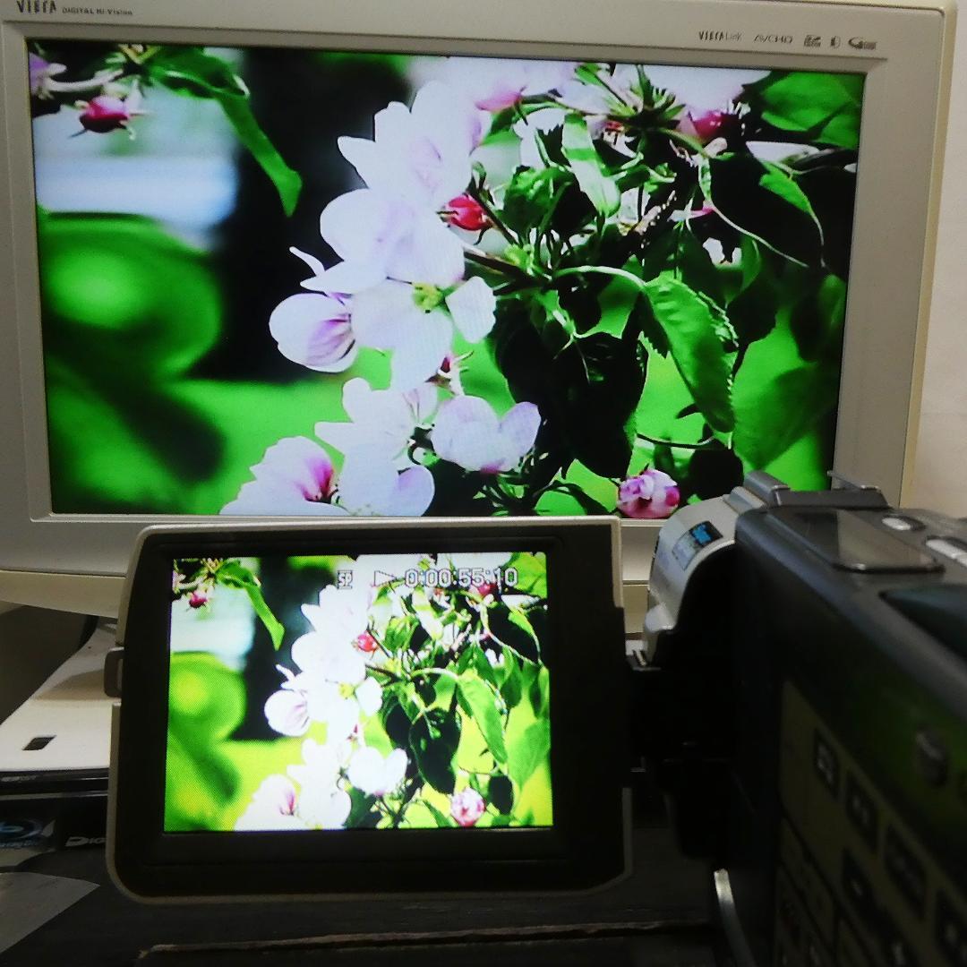 動作品ソニー DCR-TRV7 MiniDVビデオカメラ　DVDダビングに最適