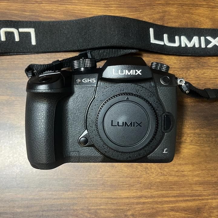Panasonic LUMIX ミラーレス一眼GH5 レンズ3本 フラッシュ付き