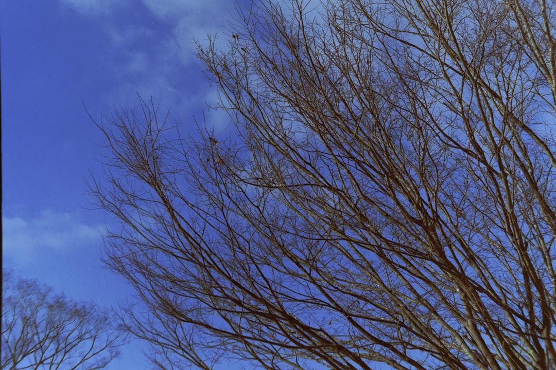 ファインダーレスM4！Leica MDa オールドカメラ フィルムカメラ