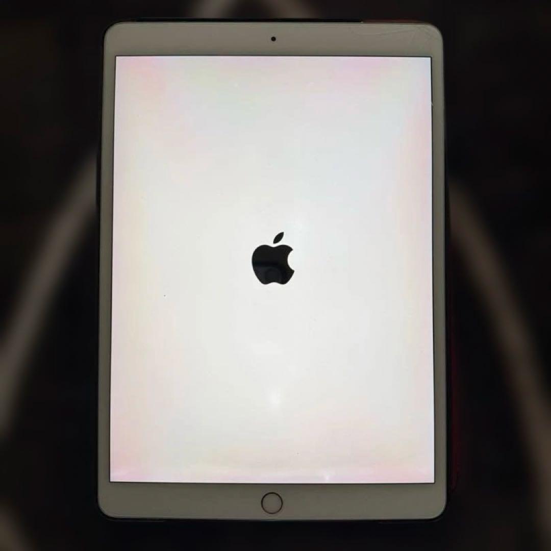 iPad Pro 10.5インチ 256GB Wi-Fi + Cellular