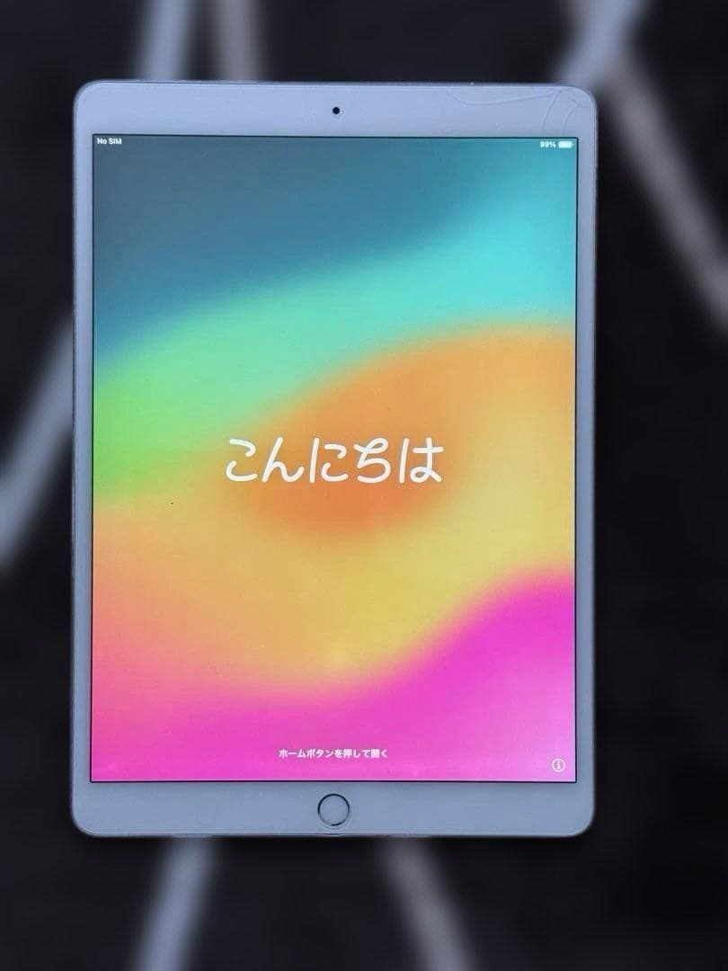 iPad Pro 10.5インチ 256GB Wi-Fi + Cellular