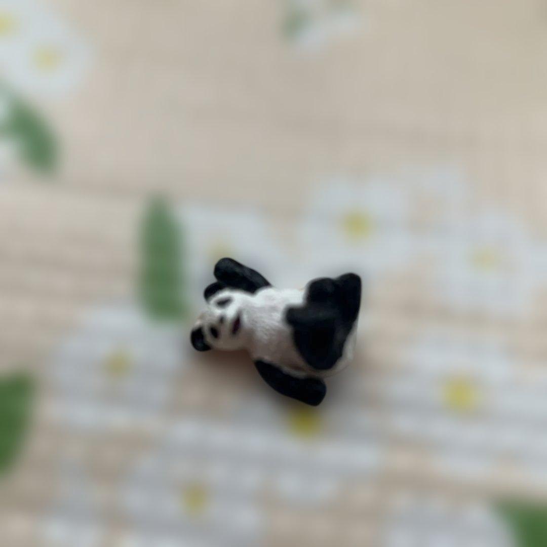 ★アドベンチャーワールド★オルゴール★ ♫シャイン オン ユー♫マスコットパンダ