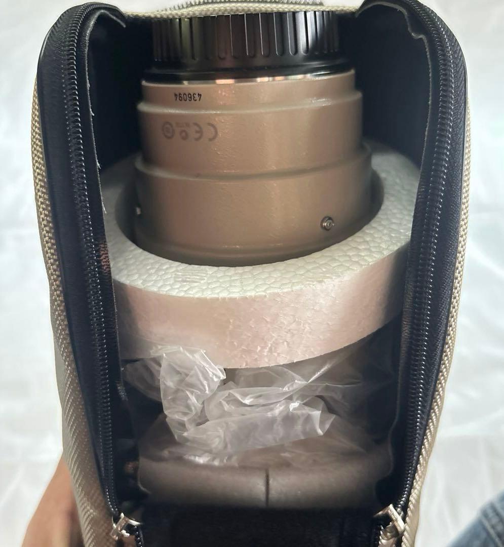 レンズ(ズーム) Canon EF100-400mm F4.5-5.6L IS USM