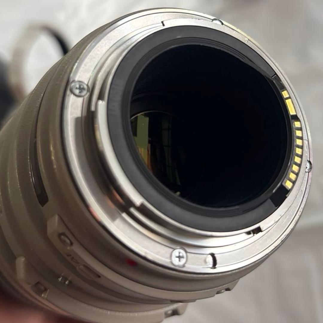 レンズ(ズーム) Canon EF100-400mm F4.5-5.6L IS USM