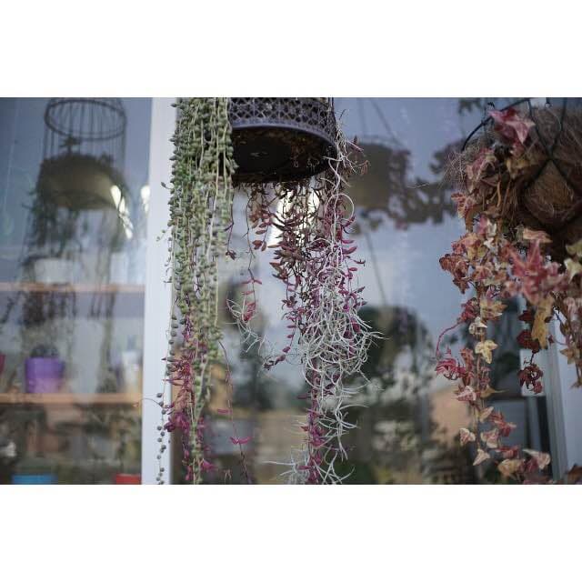 25mm F1.8 MF 単焦点レンズ！SONY Eマウント対応！ブラック！美品