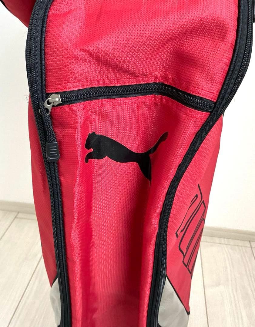 レディースゴルフクラブセット　バッグ、アイアンセット 9本 ドライバー 1本