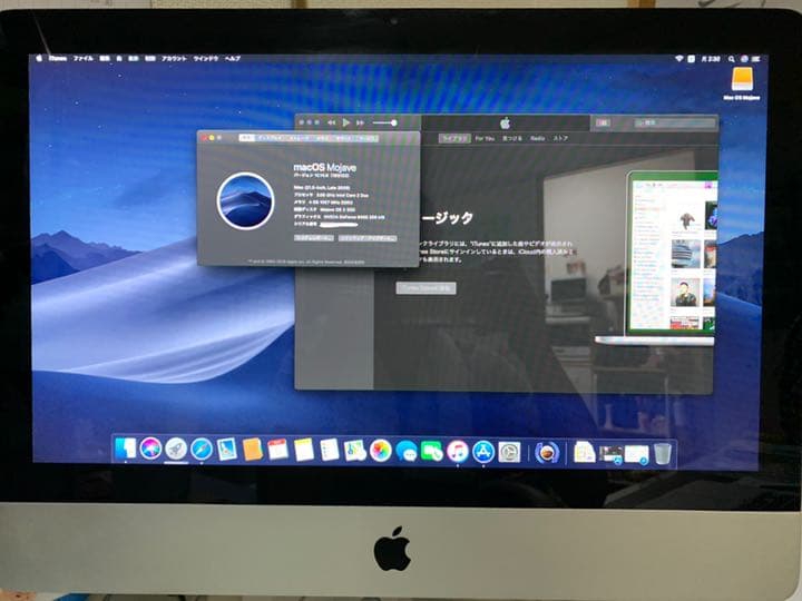 g*g様 訳有り APPLE iMac (Late 2009) OS Moj