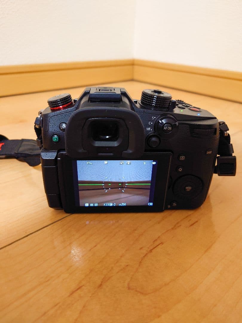 LUMIX GH5 Mark2本体　ショット数8801