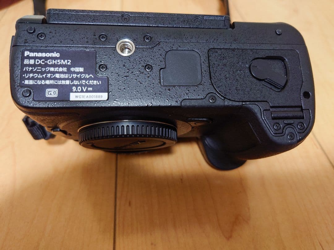 LUMIX GH5 Mark2本体　ショット数8801