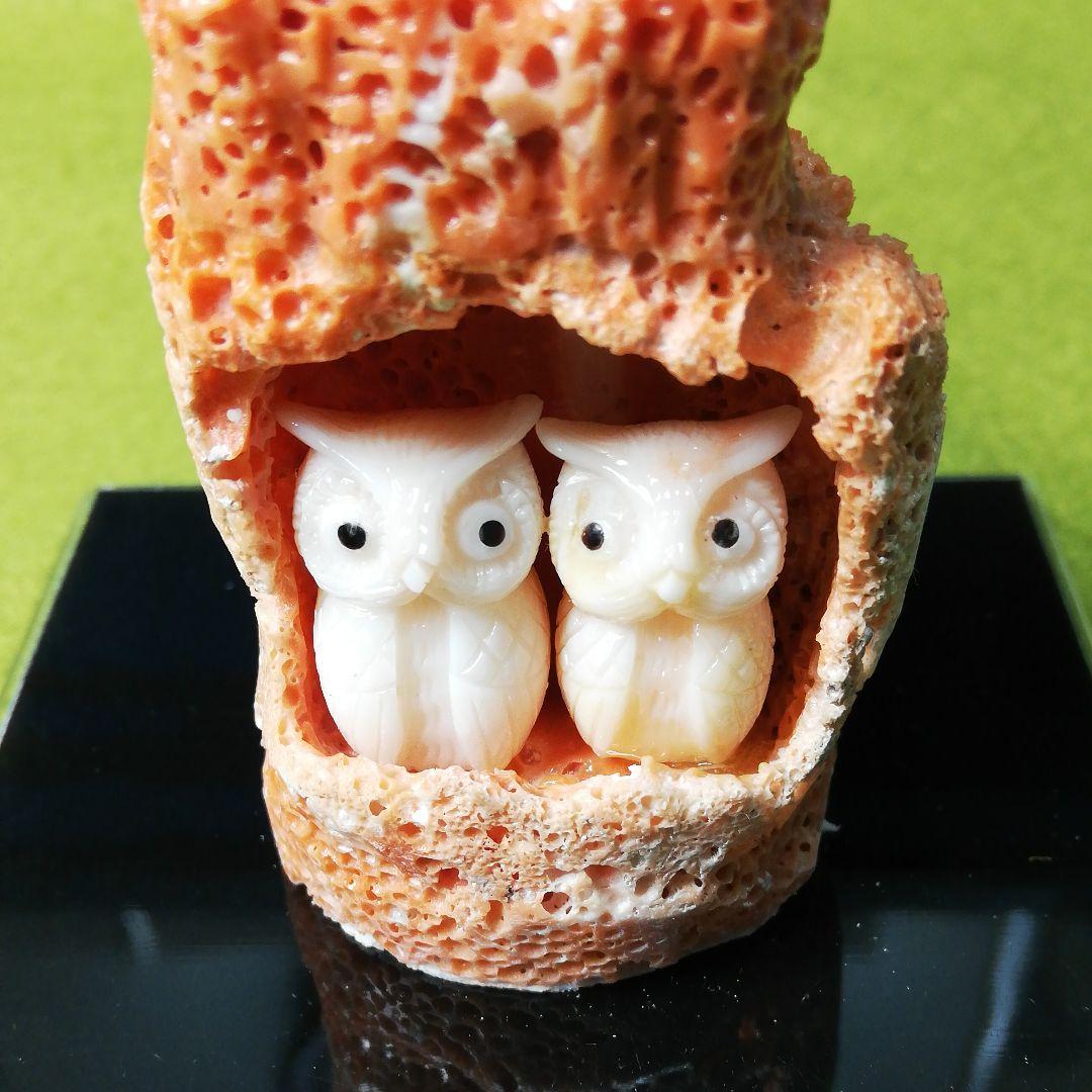 貴重　宝石珊瑚　夫婦ふくろう　彫刻置物　3578