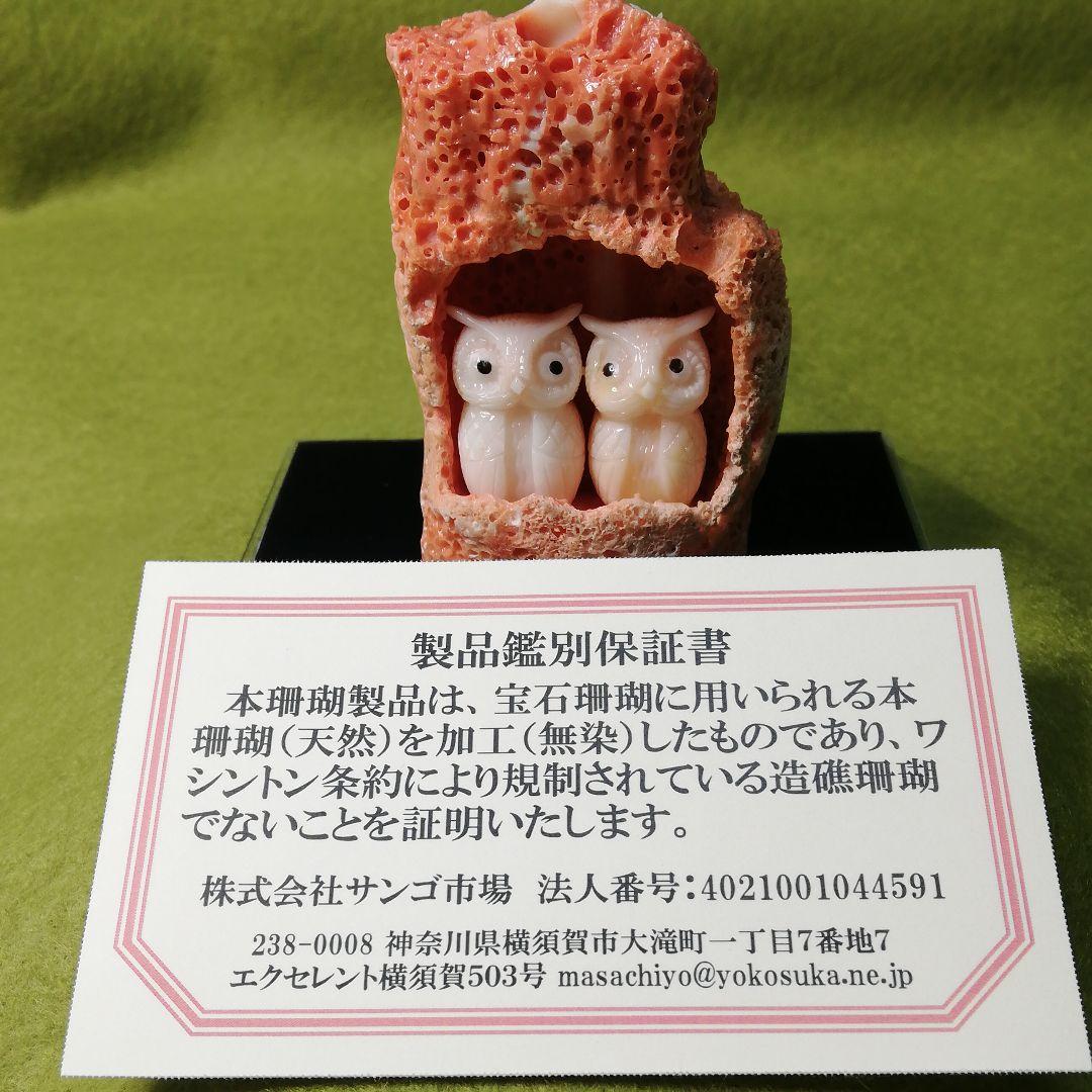 貴重　宝石珊瑚　夫婦ふくろう　彫刻置物　3578