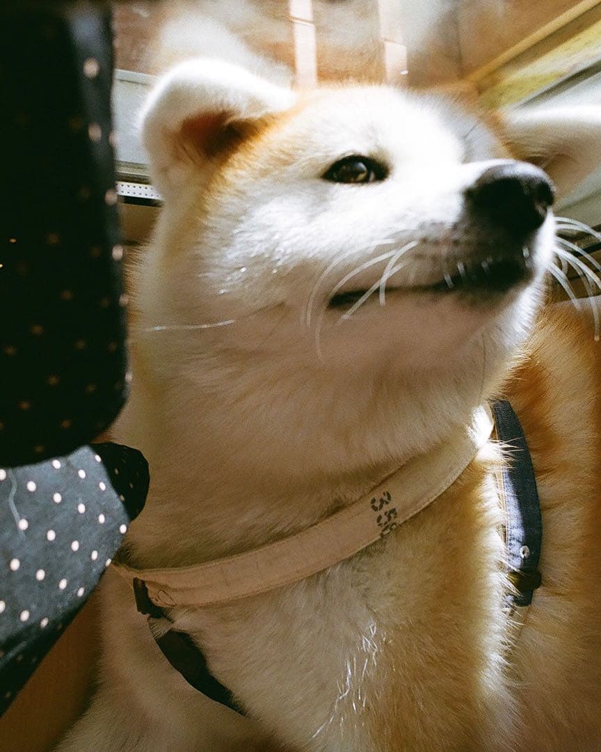 CONTAX 167MT フィルム一眼レフカメラ