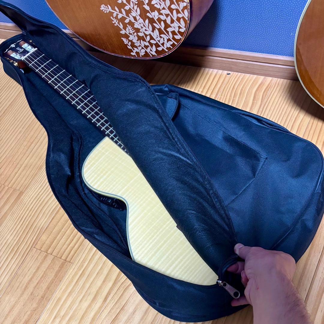 Crafter エレガットギター CT125C-N ケース付き【弦高調整済】