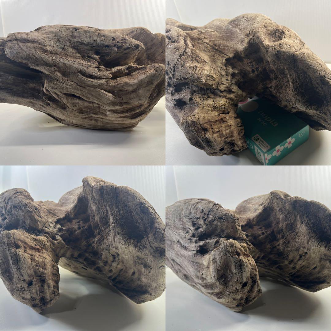 m6大型流木 アク抜き済み 爬虫類シェルター レイアウト用 オブジェ インテリア