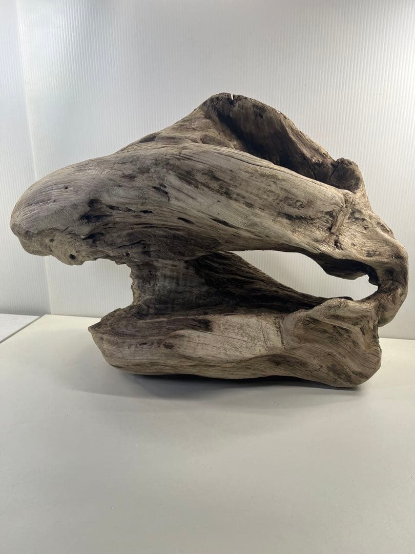 m6大型流木 アク抜き済み 爬虫類シェルター レイアウト用 オブジェ インテリア
