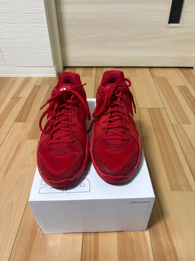 ビックル　NIKE ナイキ　サブリナ2