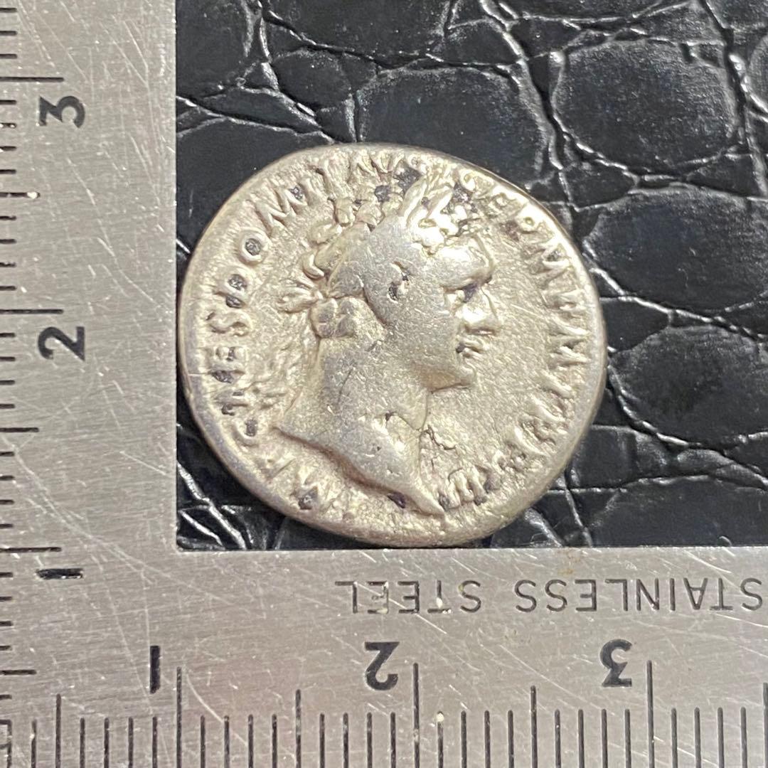 コレクション Ale