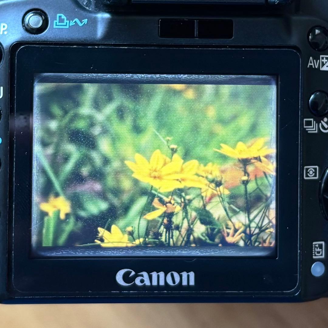 Canon EOS Kiss Digital X 本体 + レンズセット