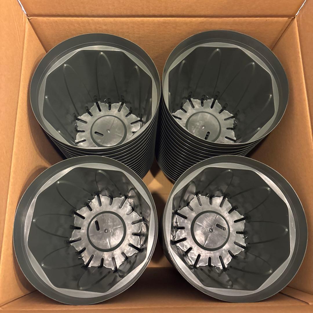 東海化成21cm 緑 TO スリットコンテナ TO-SC210 ・70ケ入セット