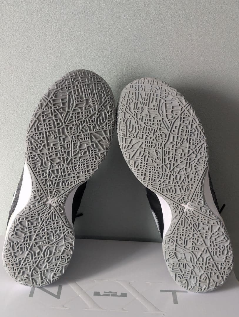 シューズ(男性用) Nike Lebron NXXT GEN 30cm