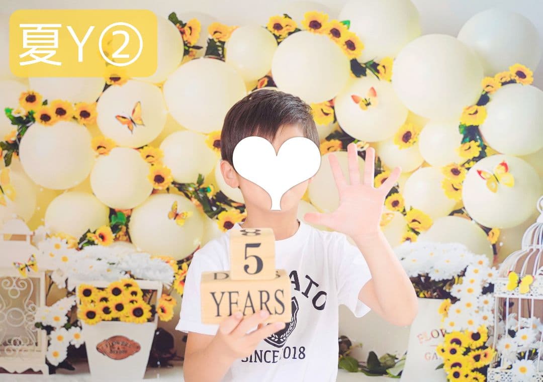 背景布　夏BB➃　ペット撮影用フォトブース　トリミングチョーカー販売中　縦長