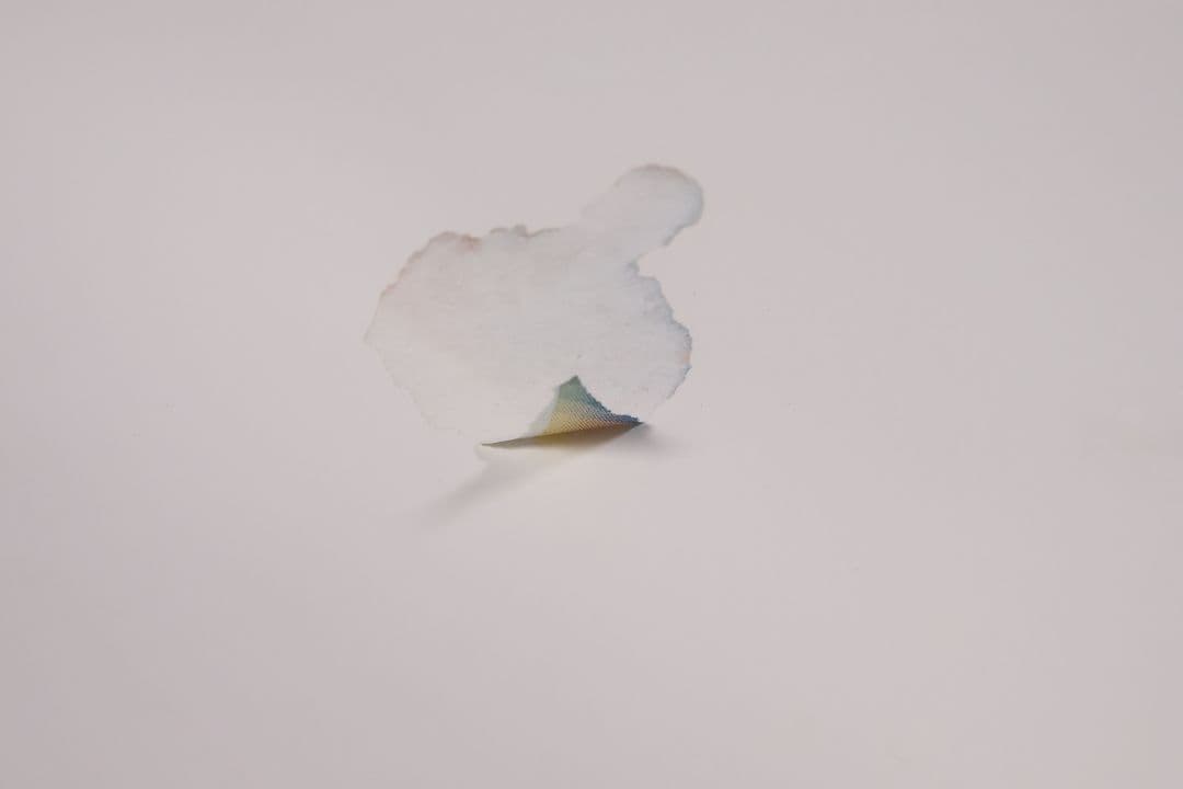 【CM100】B1判 映画ポスター「ブラック・レイン」マイケルダグラス 高倉健