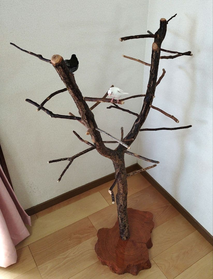 【フィンチ用】梅と桜のフィンチTree バードスタンド