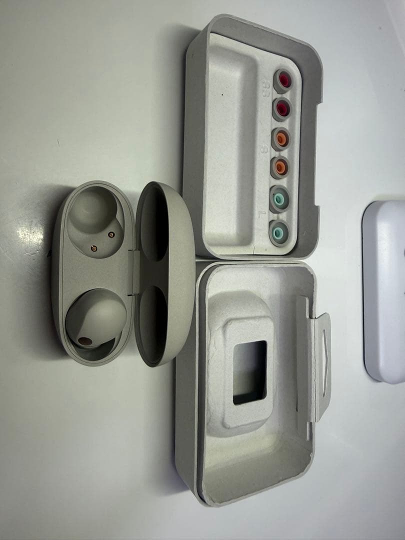 SONY WF1000XM5 プラチナシルバー 右耳 ケース