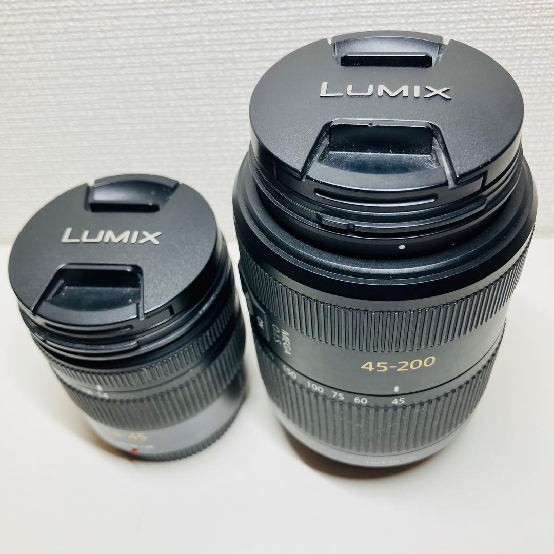 2本セットPanasonic LUMIXレンズ45-200mmと14-45mm