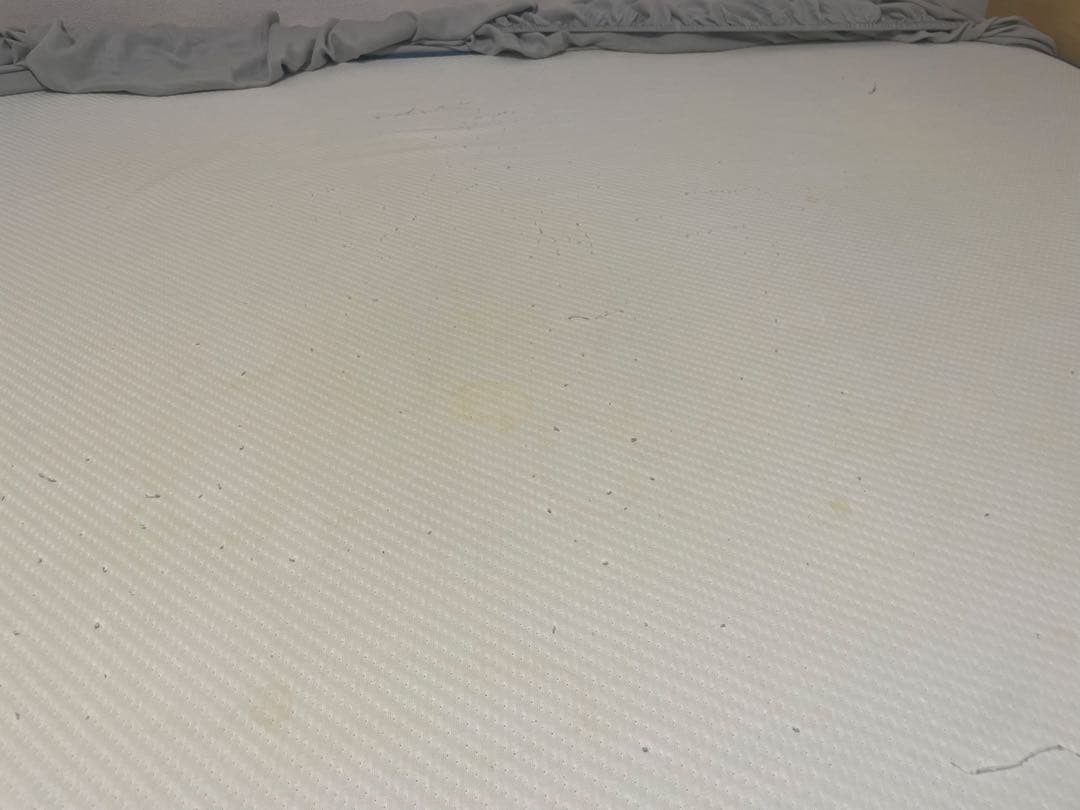 直接取引可能【コアラベッドフレーム】コアラクイーンサイズマットレスおまけ付き