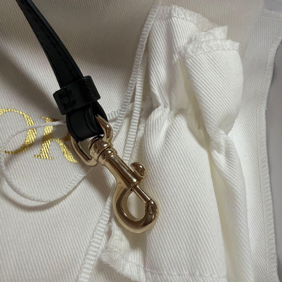 美品　DIOR Dior フォンホルダー ショルダーバッグ ブラック　レザー