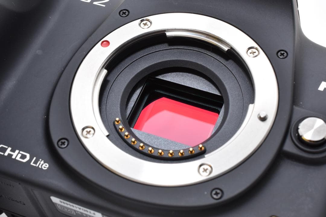 ★美品★パナソニック ルミックス DMC-G2 ボディ #21109