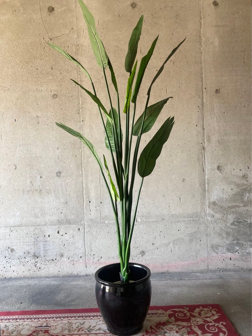 光触媒　人工観葉植物　オーガスタ　フェイクグリーン　ストレッチア155aj