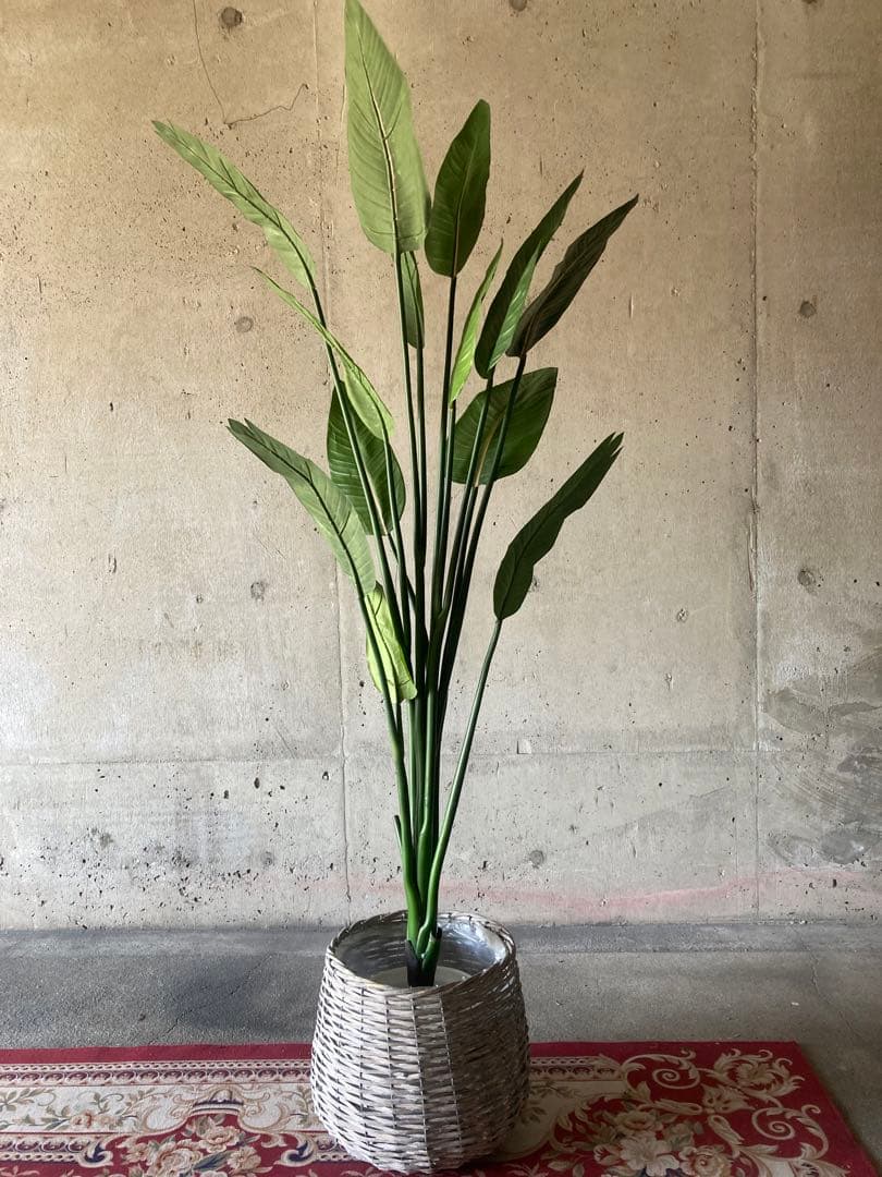 光触媒　人工観葉植物　オーガスタ　フェイクグリーン　ストレッチア155aj