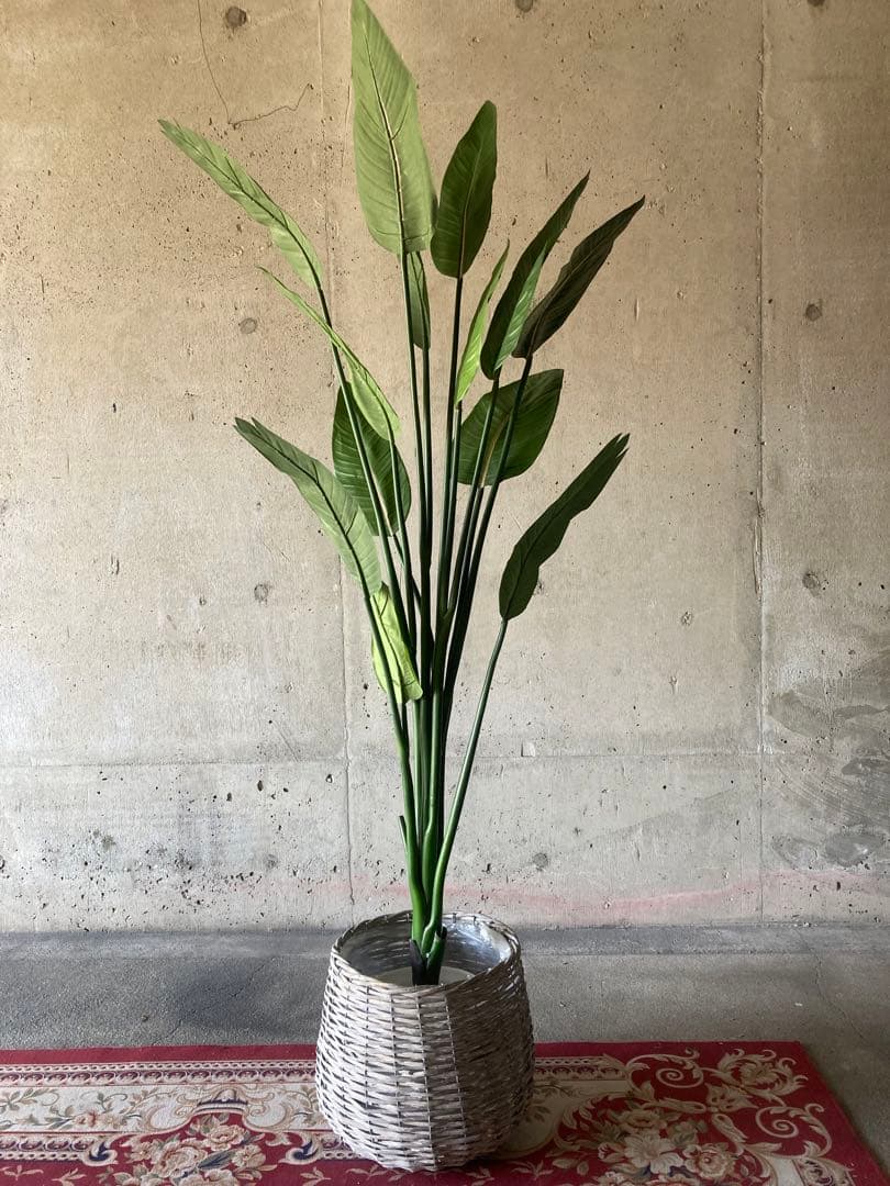 光触媒　人工観葉植物　オーガスタ　フェイクグリーン　ストレッチア155aj