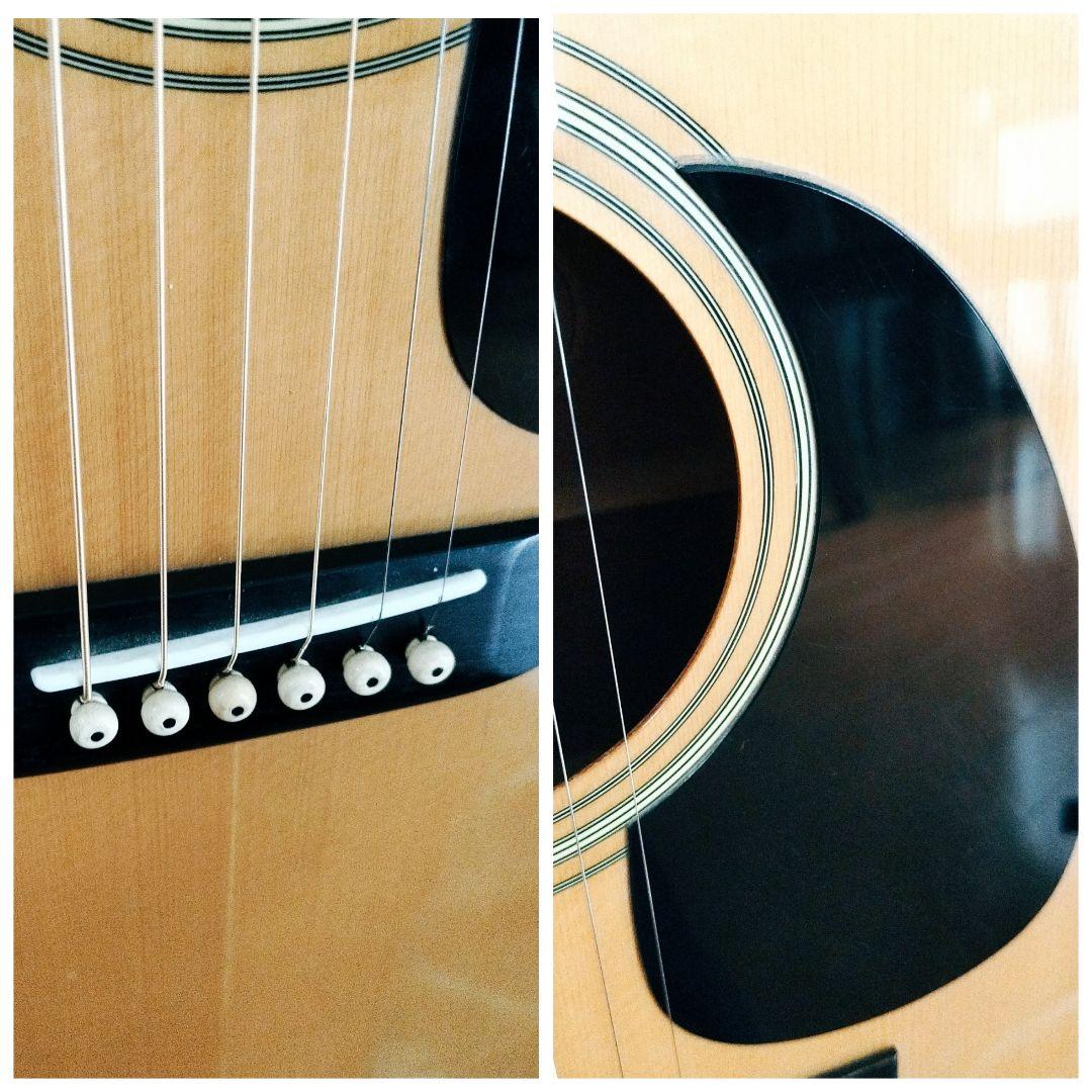 Morris　アコースティックギター　W-20　ソフトケース付　モーリス