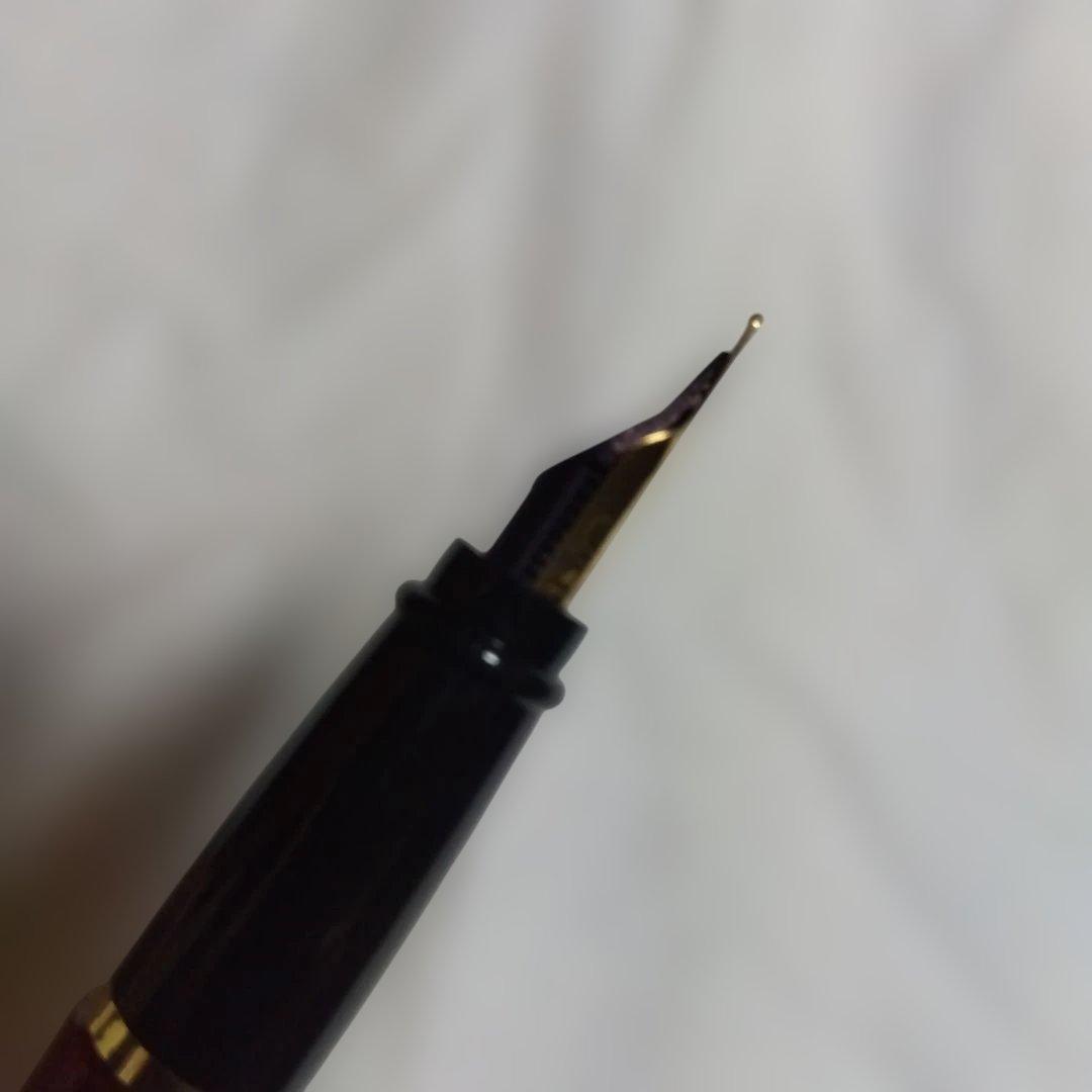 【apollosさま】AURORA 万年筆 　【専用ケース付き】