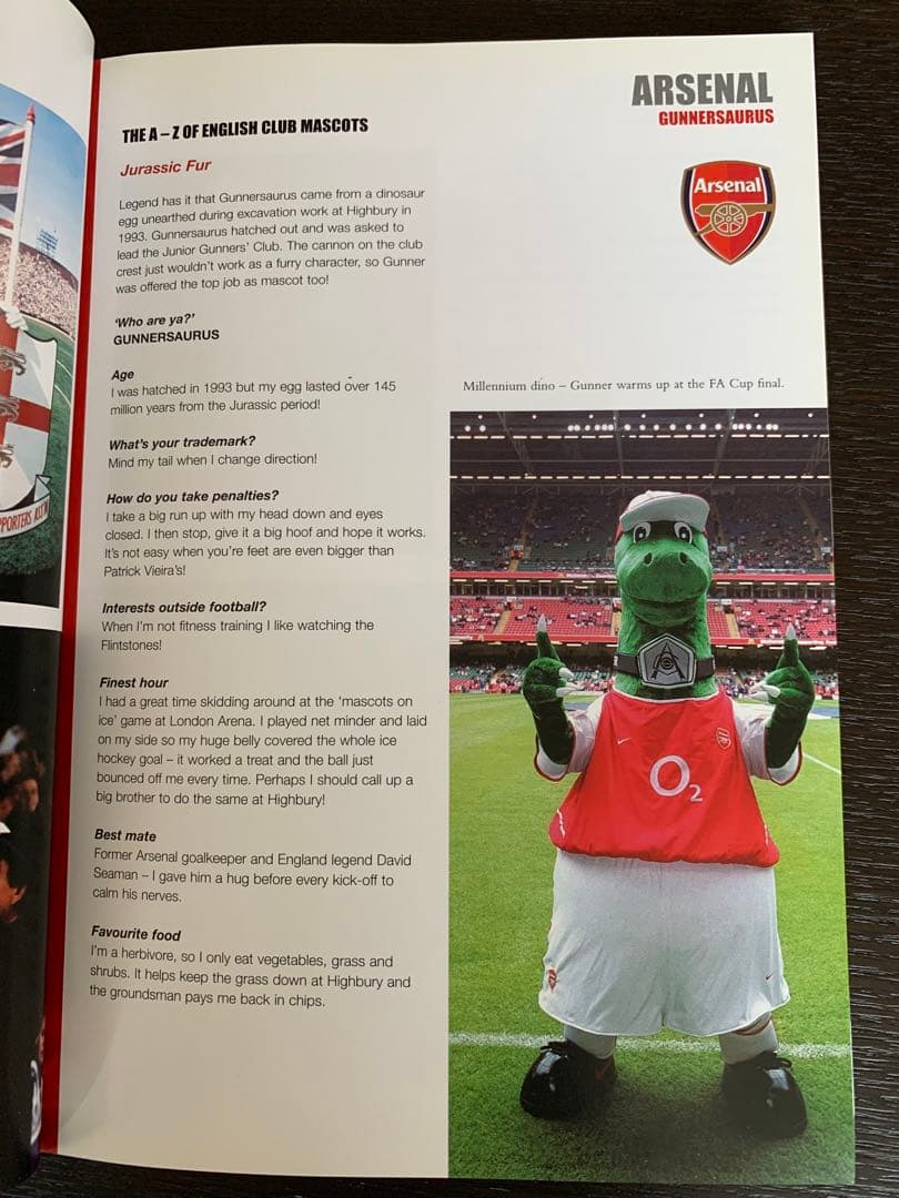 英国サッカーチームマスコット大全集！入手不可能