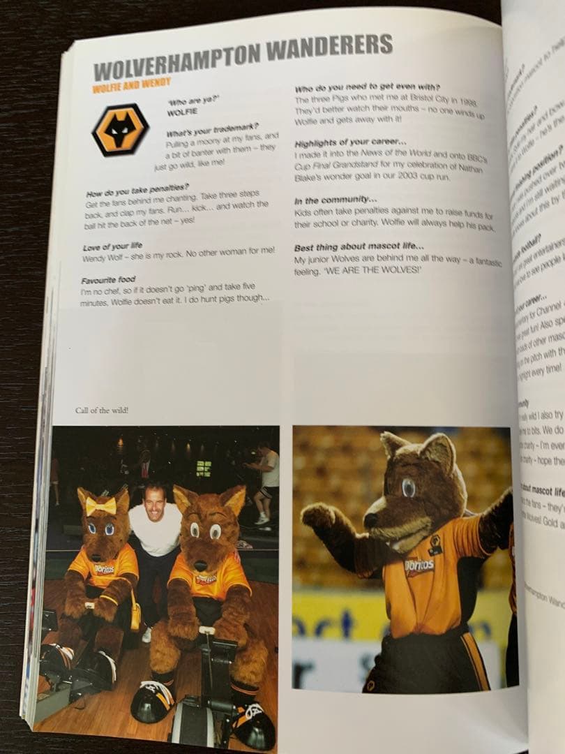 英国サッカーチームマスコット大全集！入手不可能